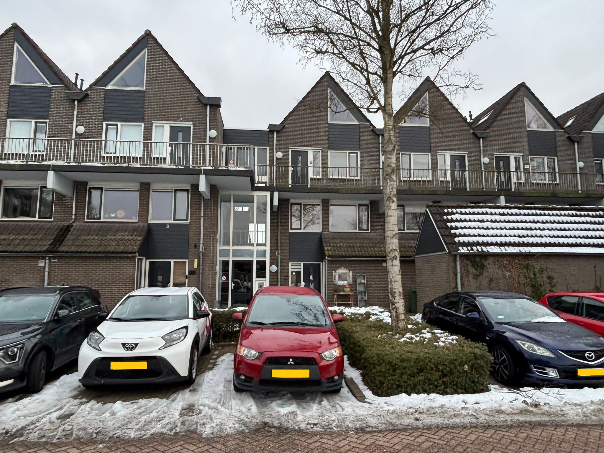 Weidezoom – Waddinxveen