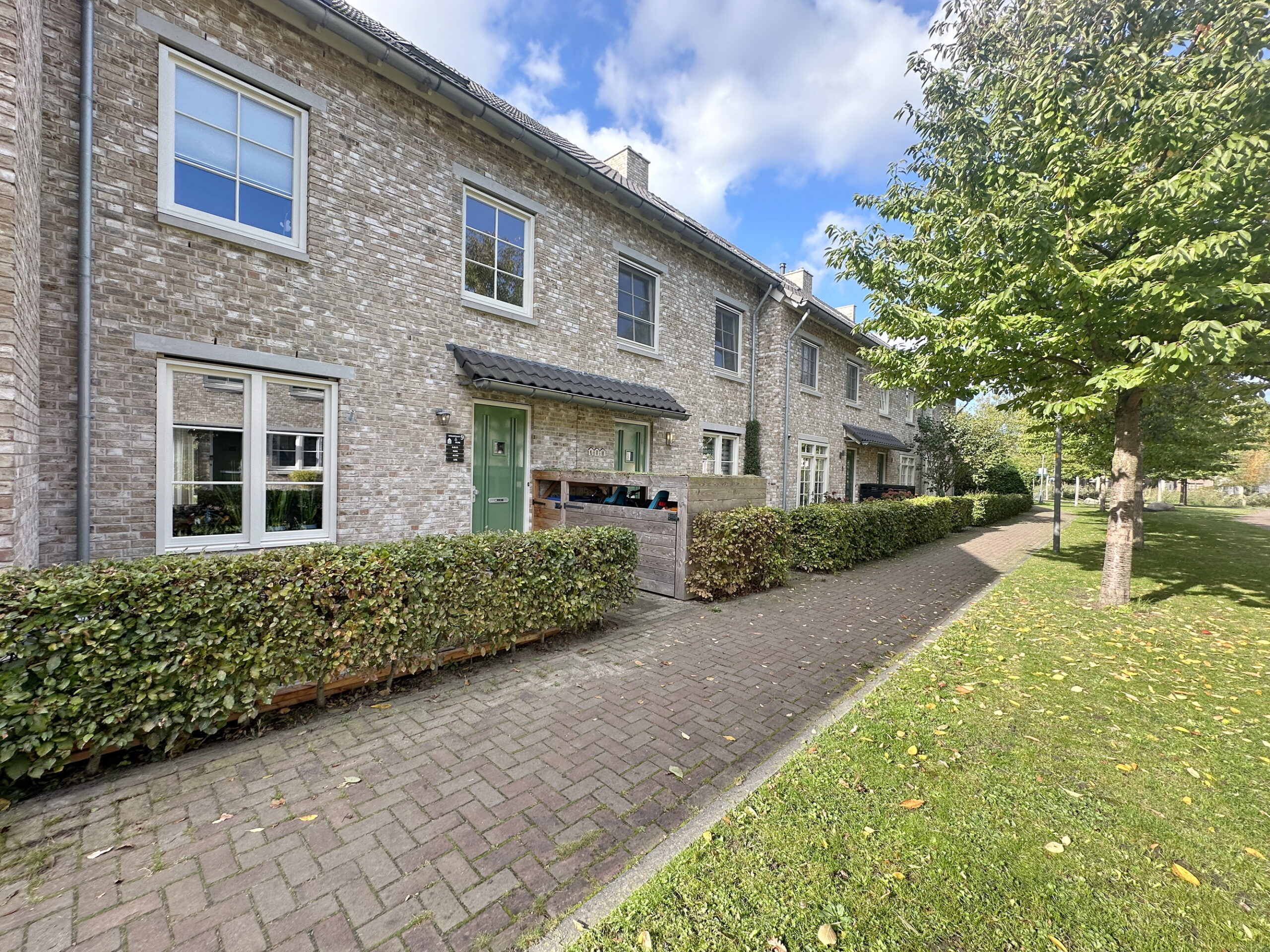 Pioenroos – Waddinxveen